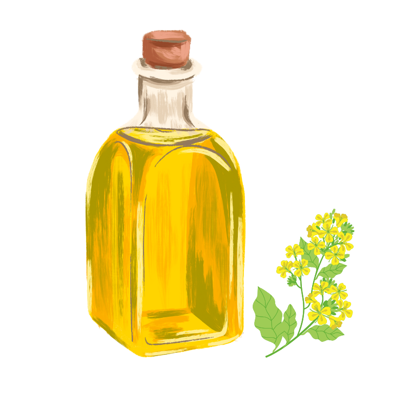 Cold Pressed Mustard Oil